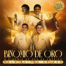 Cargar imagen en el visor de la galería, Vinilo Lp - Solo Éxitos de Oro Binomio de Oro & Binomio de Oro de América